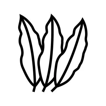 Mango leaf line icon vector illustration Stock Illustration