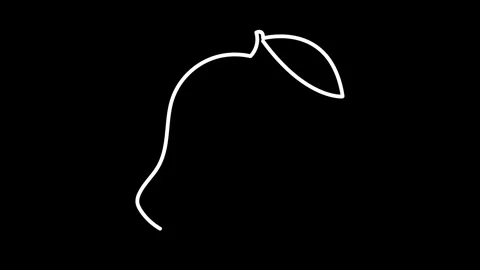 A mango line animation and background design. Stock Footage 324768903