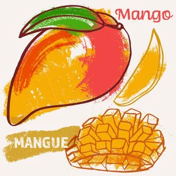 Mango line art and color hand-drawn vector illustration. Rough crayon strokes Illustrazione stock