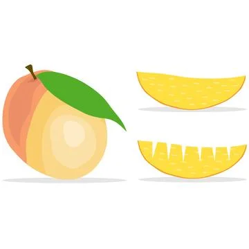 Mango, mango slices, fruit. Stock Illustration