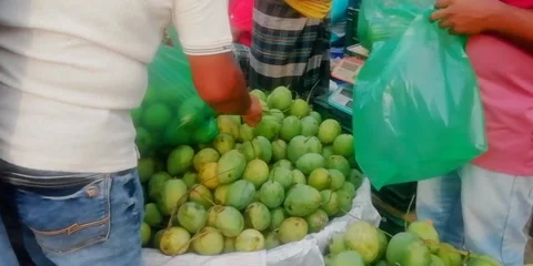 Mango Market Stock Footage 312278958