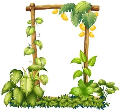 A Mango Nrtural Wooden Frame Stock Illustration