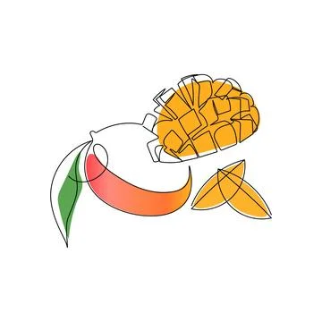 Mango. One line drawing art color illustration. Stock Illustration
