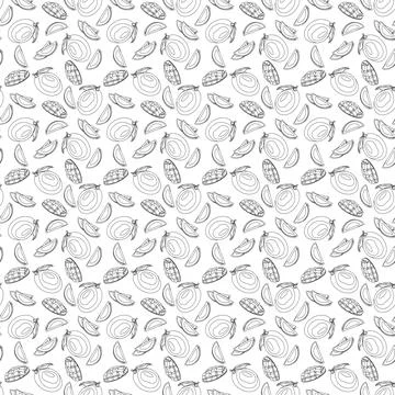 Mango outline seamless pattern on white background. イラスト素材