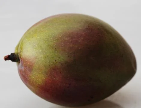 Mango over gray background Stock Photos