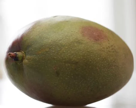 Mango over white background Stock Photos
