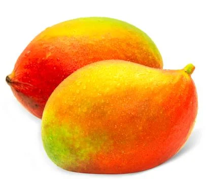 Mango Foto stock