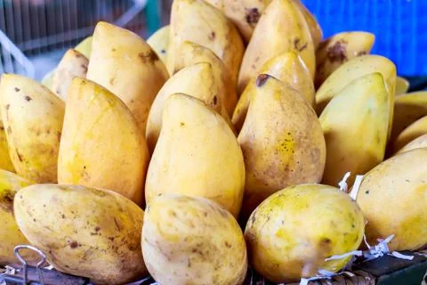 Mango Stock Photos