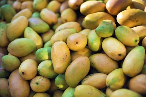 Mango Stock Photos