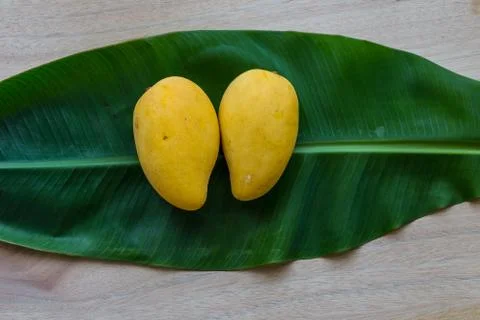 Mango Stock Photos