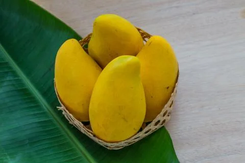 Mango Stock Photos