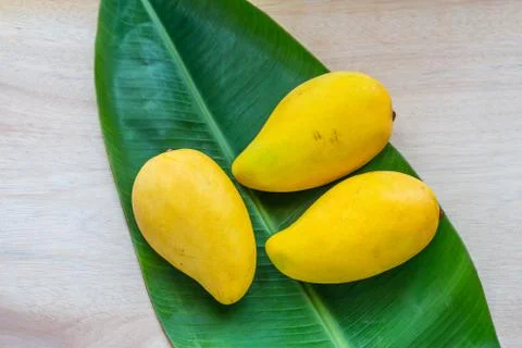 Mango Stock Photos