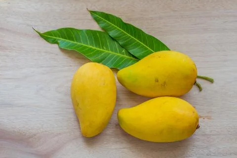 Mango Stock Photos