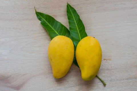 Mango Stock Photos