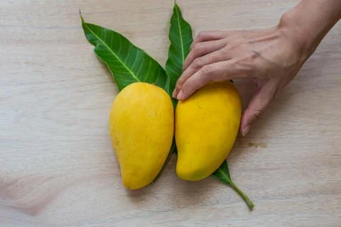 Mango Stock Photos