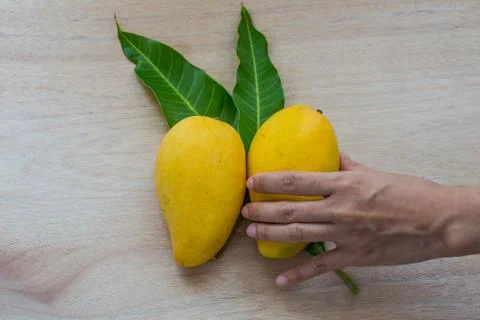 Mango Stock Photos