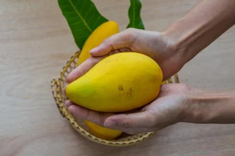 Mango Stock Photos