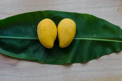 Mango Stock Photos
