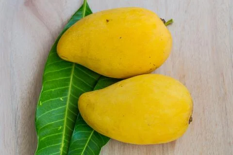 Mango Stock Photos