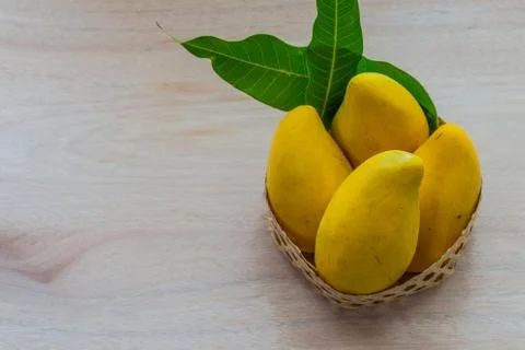 Mango Stock Photos