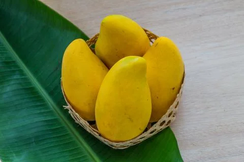Mango Stock Photos