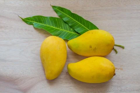 Mango Stock Photos