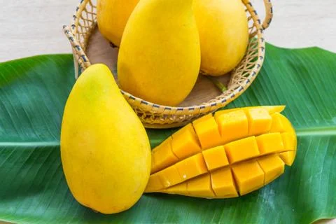 Mango 스톡 사진