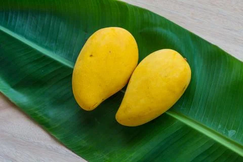 Mango Stock Photos