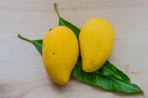 Mango Stock Photos