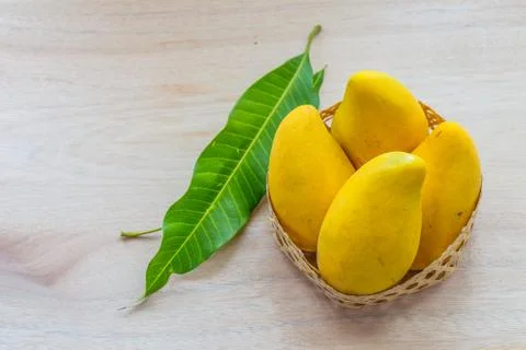 Mango Stock Photos