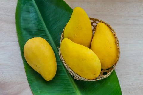 Mango Stock Photos