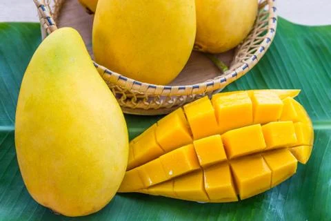 Mango Stock Photos