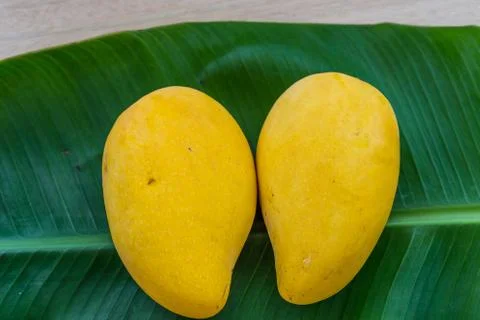 Mango Stock Photos
