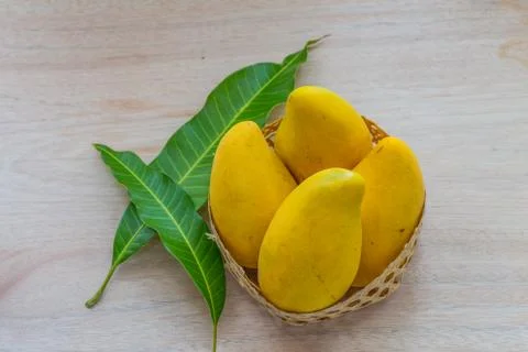 Mango Stock Photos