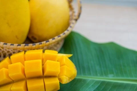 Mango Stock Photos