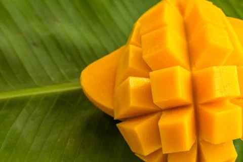 Mango Stock Photos