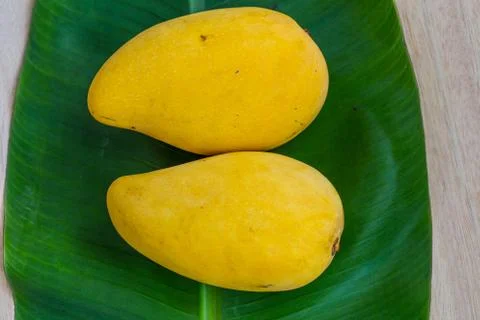 Mango Stock Photos