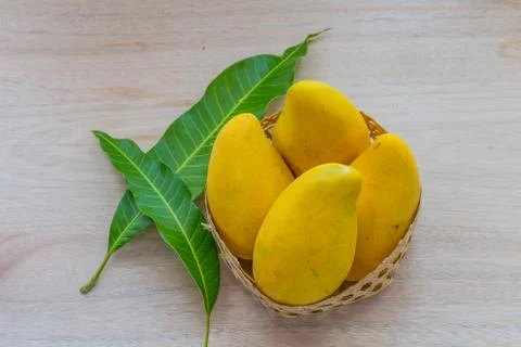 Mango Stock Photos