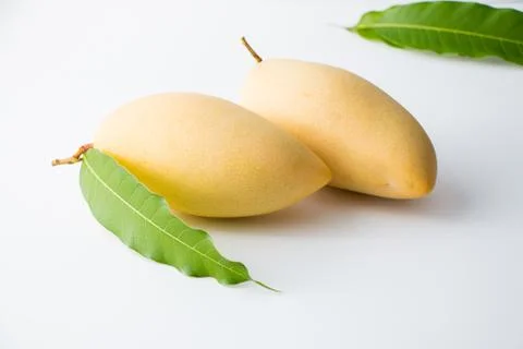 Mango Stock Photos