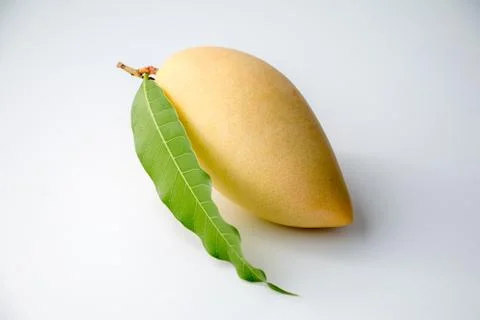 Mango Stock Photos
