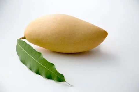 Mango Stock Photos