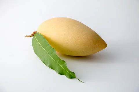 Mango Stock Photos