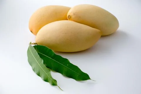 Mango Stock Photos