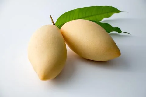 Mango Stock Photos
