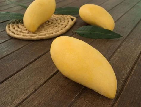 Mango Stock Photos