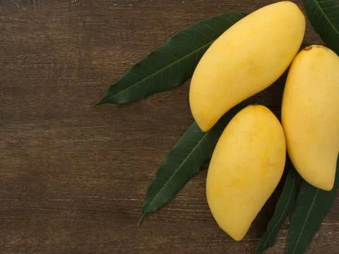 Mango Stock Photos