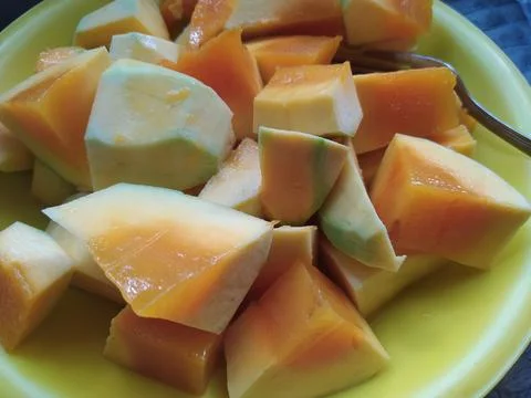 Mango 스톡 사진