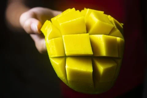 Mango Stock Photos