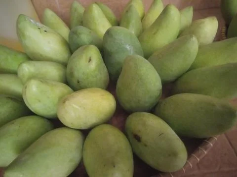 Mango Fotos de archivo