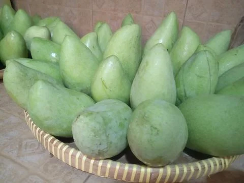 Mango Fotos de archivo